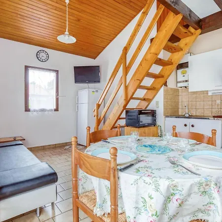 Vakantiehuis Maison T3 Mezzanine, 6 Pers, Wifi, Pres De L'ocean, Quartier Residentiel, - Fr-1-521-157 Biscarrosse