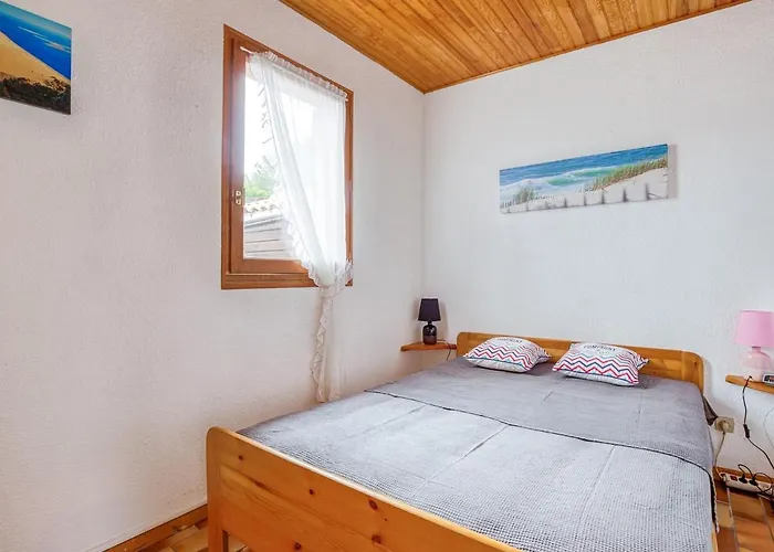 Maison T3 Mezzanine, 6 Pers, Wifi, Pres De L'ocean, Quartier Residentiel, - Fr-1-521-157 * Biscarrosse